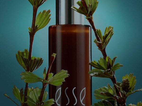 Resurrect Serum
